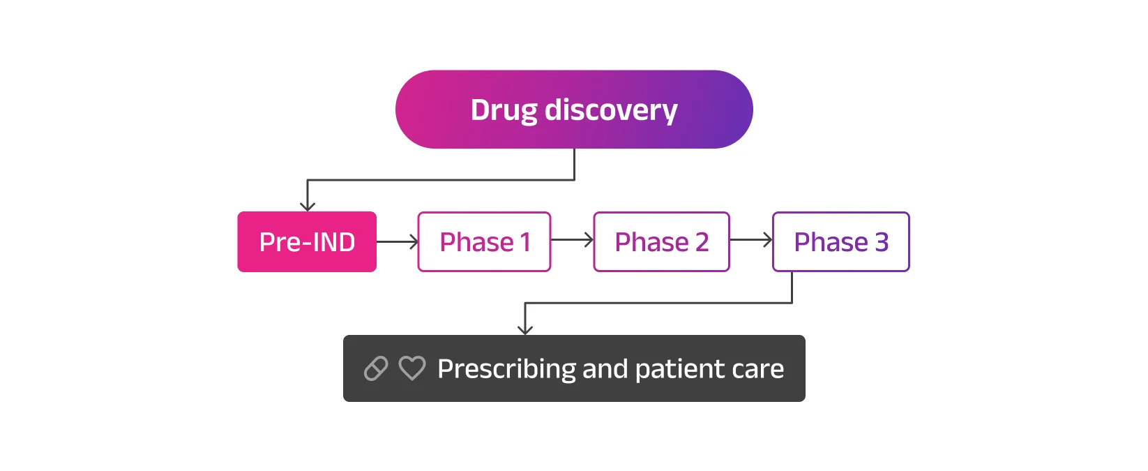 Drug development stages from discovery to clinical studies